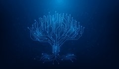 霸王茶姬创始人维权案将