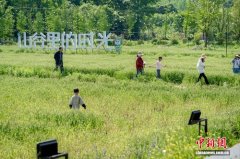 “少年金陵游” 江苏南京